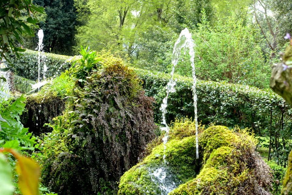 Cento fontane - Villa d'Este - Tivoli, Italy - DSC04078