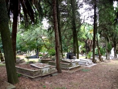 Cementerio del Buceo 1