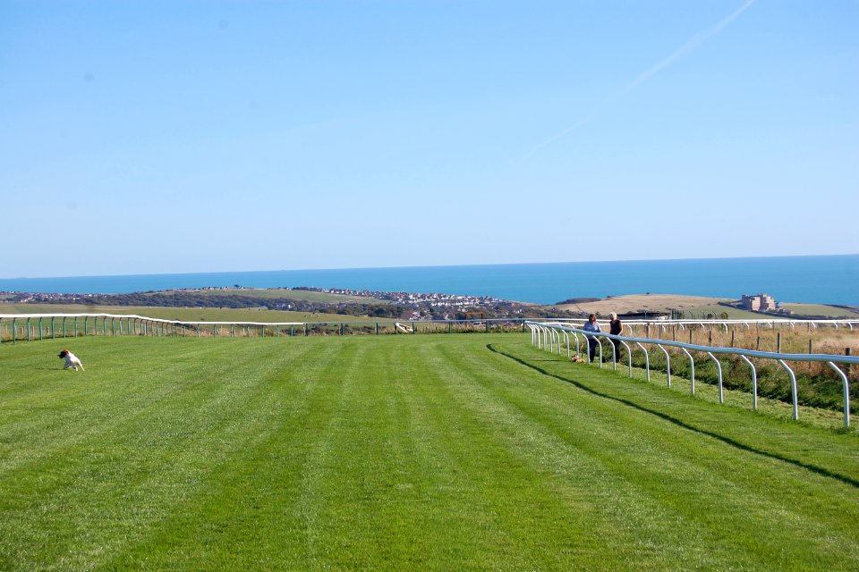 Brighton Racecourse, Whitehawk Hill, Brighton (September 2018) (7)