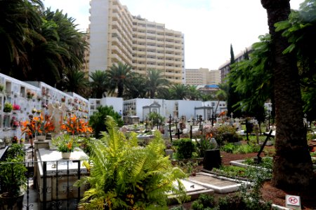 Cementerio de San Carlos - Puerto de la Cruz - 02