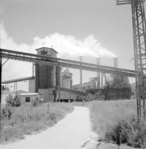 Cementfabriek bij Haifa, Bestanddeelnr 255-4348