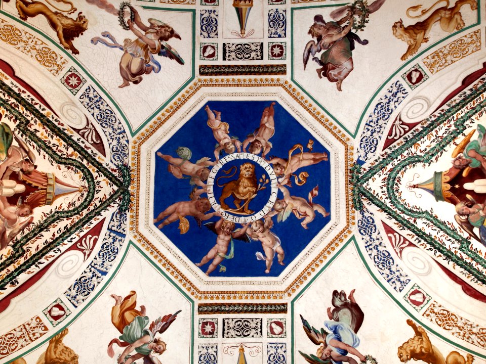 Ceiling photo-70 DE FORTI EGRESSUS EST DULCEDO