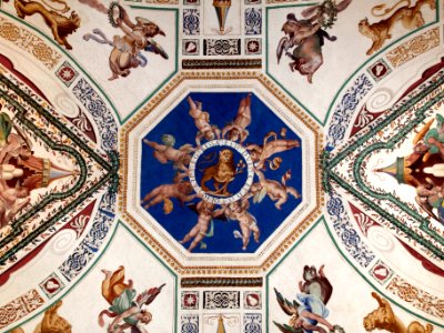 Ceiling photo-70 DE FORTI EGRESSUS EST DULCEDO