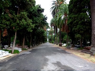 Cementerio del Buceo 4
