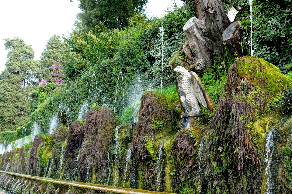 Cento fontane - Villa d'Este - Tivoli, Italy - DSC04025