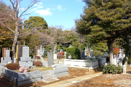 Cemetery - Gokokuji - Bunkyo, Tokyo, Japan - DSC07817