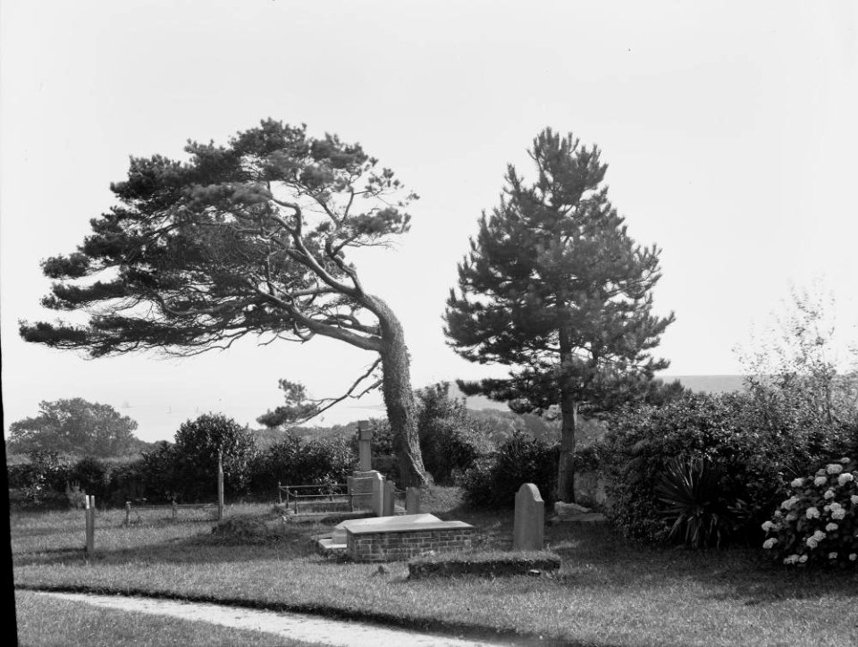 Cemetery (1294345)
