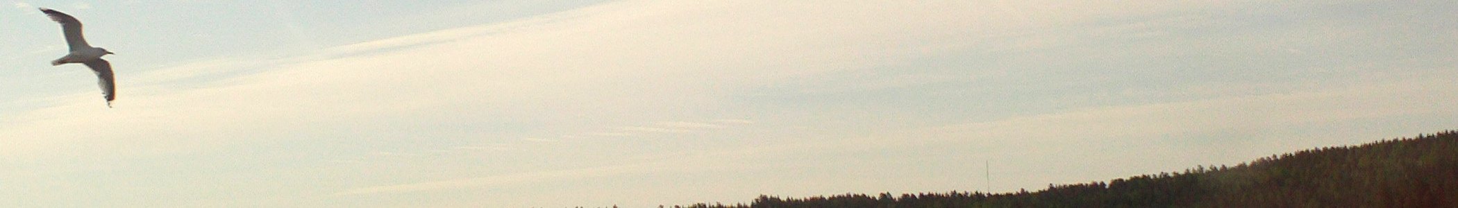 Central Finland banner Flying bird