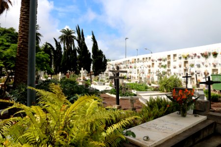Cementerio de San Carlos - Puerto de la Cruz - 01