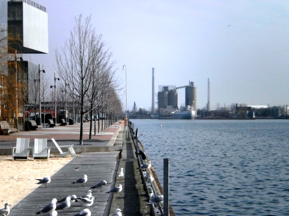 Cement boats, Toronto harbour 2012 03 02 -e