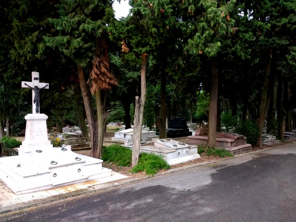 Cementerio del Buceo 5