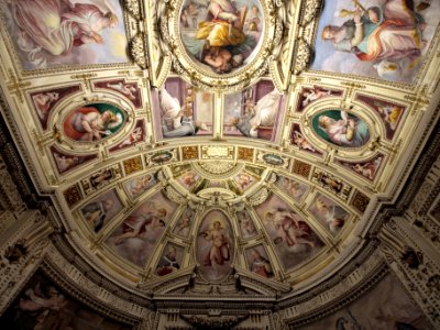 Ceiling photo-56 PIVS.VII.P.M.ANNO.XVIII