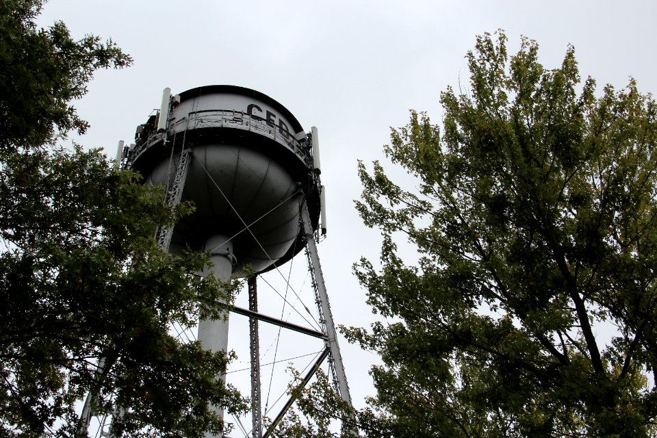 Cedar Bluff, Alabama water tower