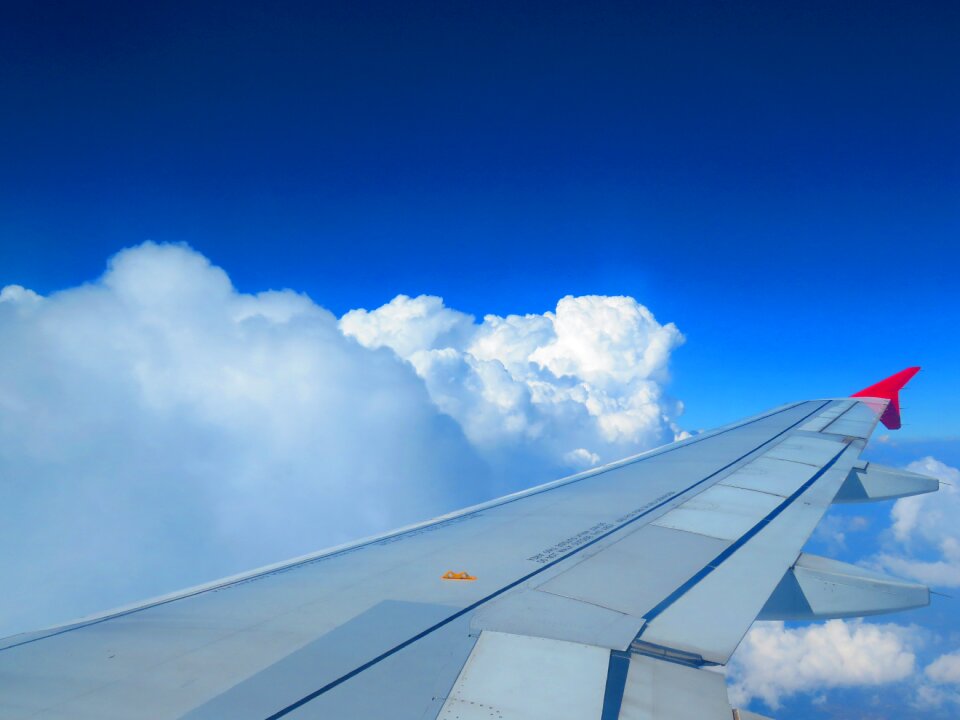 Blue blue sky wing