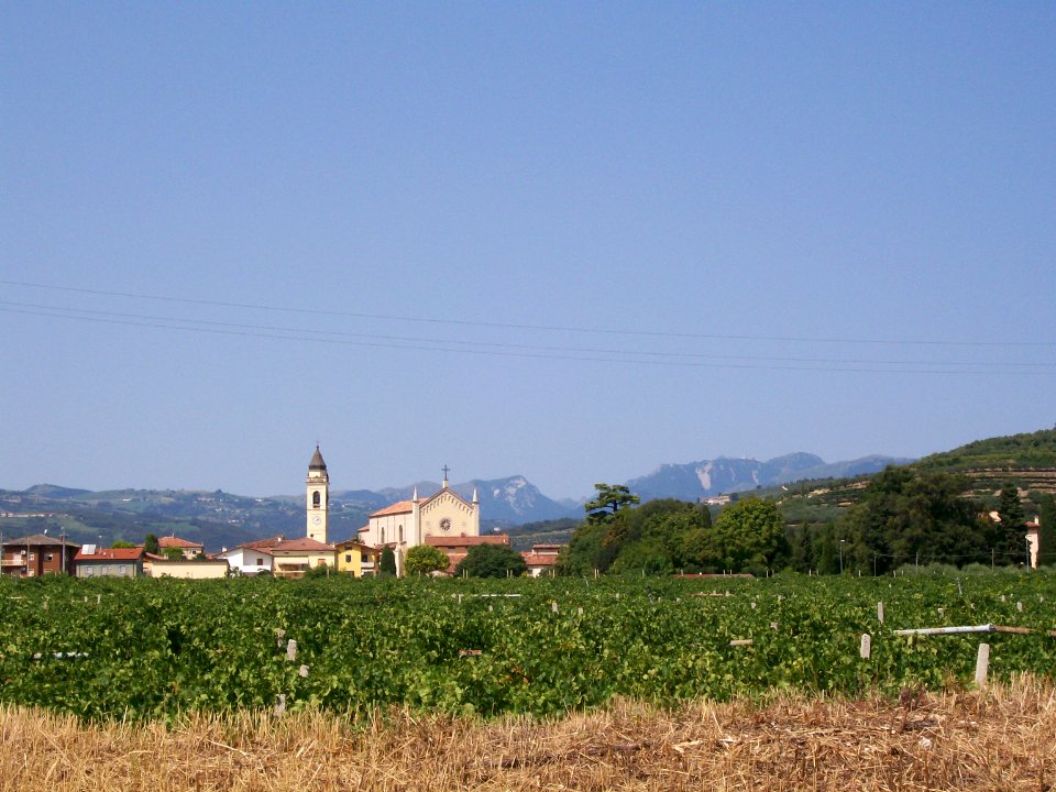 Cellore Carega