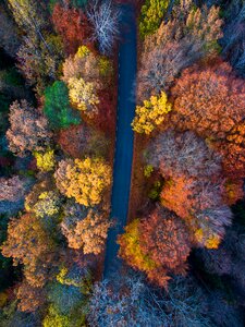 Aerial landscape fall photo