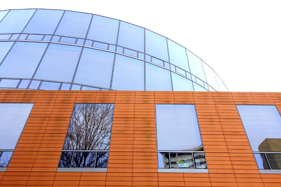 Center for Government and International Studies - Harvard University - Cambridge, MA - DSC02733