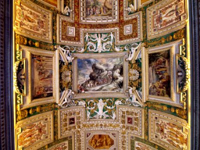 Ceiling photo-21 S PETRVS DE MVRANO ANACORETA IN PONTIFICEM ELIGITVR
