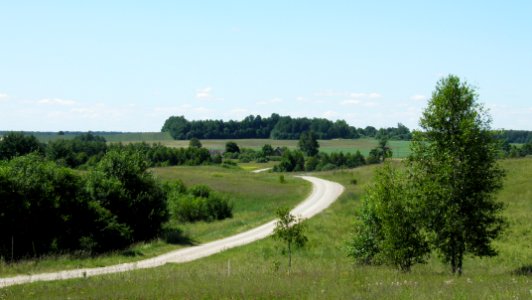 Cels Pilskalne - Kvetkai