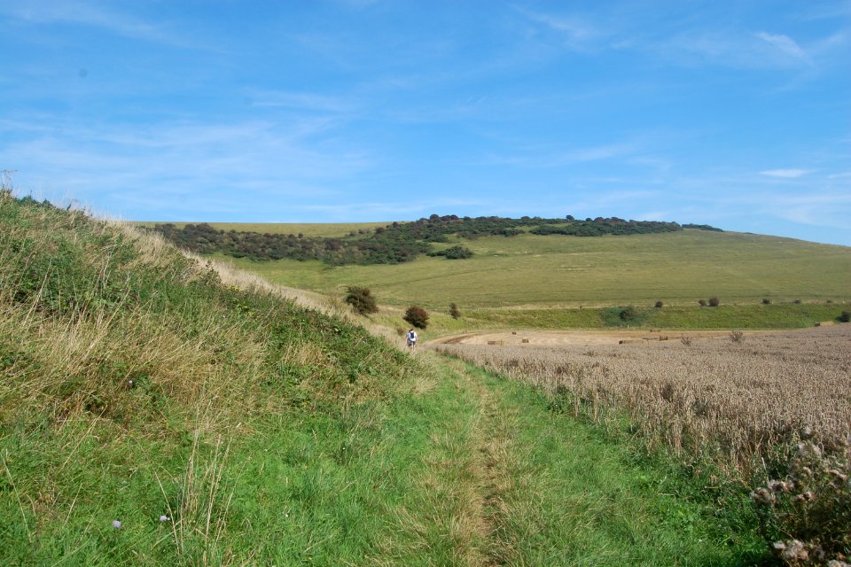 Castle Hill National Nature Reserve, near Balsdean, Brighton (August 2019) (1)