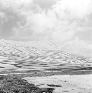 Ceders plateau in de bovenloop van de Qadisha vallei, Bestanddeelnr 255-6456