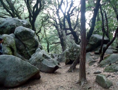 Castle Rock State Park in California with rock formations photo