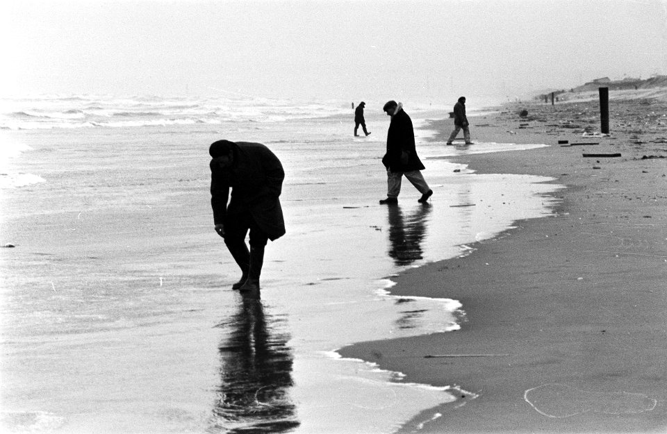 Centenzoekers op strand in Zandvoort, Bestanddeelnr 927-6352