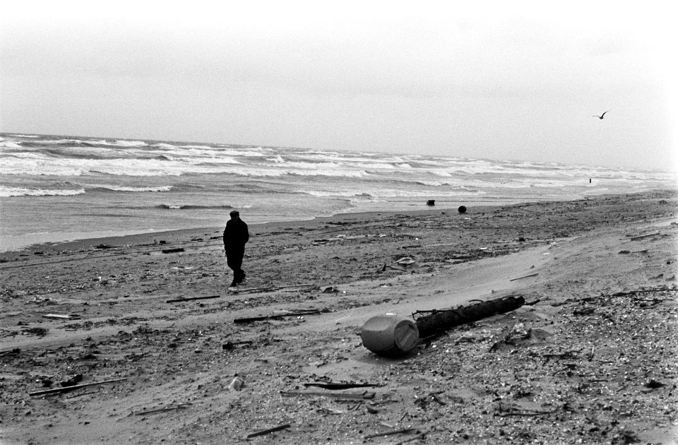 Centenzoekers op strand in Zandvoort, Bestanddeelnr 927-6353