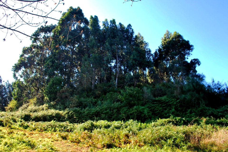 Castro de Vilasanche croa