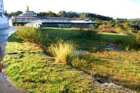 Castro de Samoedo Sargadelos Sada A Coruña Galiza