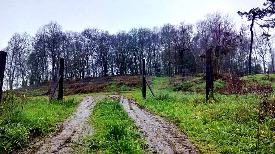 Castro de Piñeiro Ares acceso