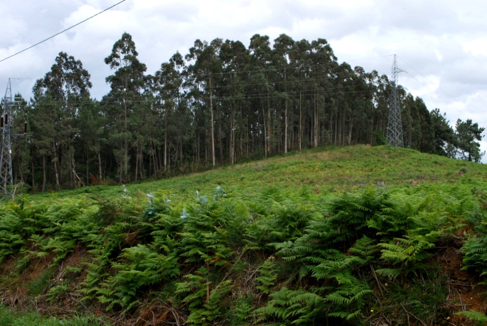 Castro de Meá, cumio do monte en Mugardos