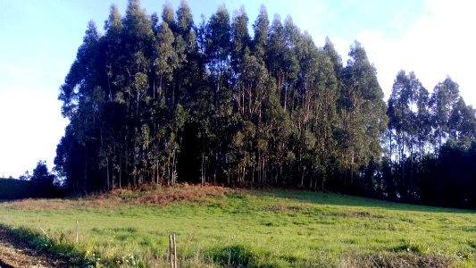 Castro de Lodeiro Valdoviño A Coruña