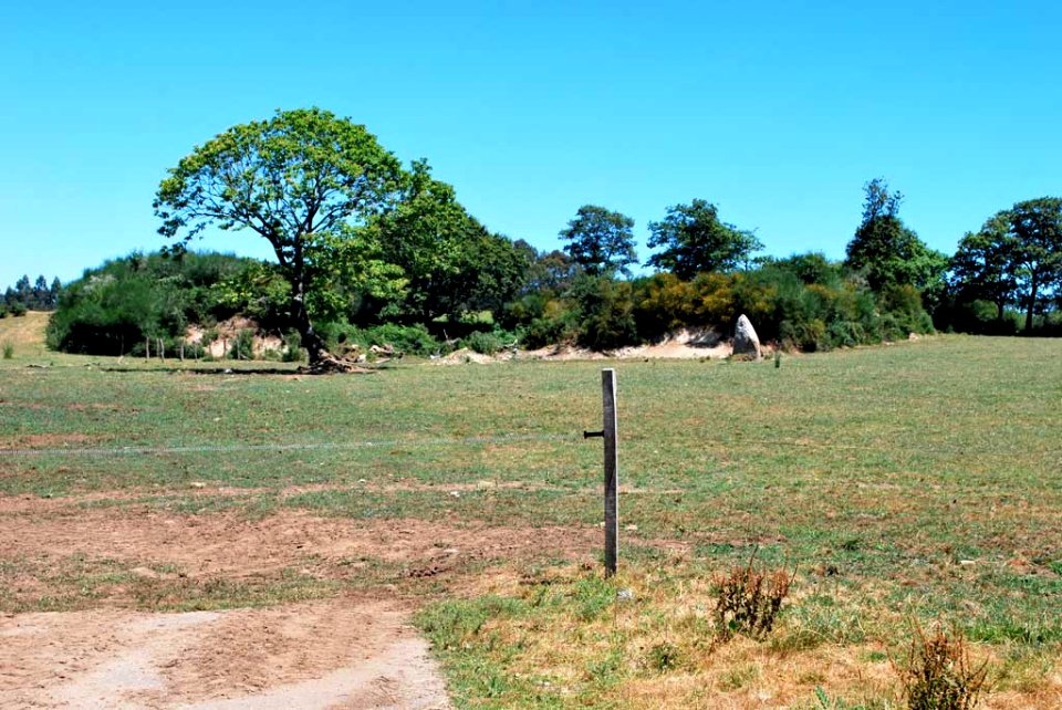 Castro de Fisteus Curtis