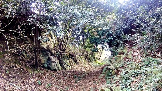 Castro de Sanvictorio Mugardos