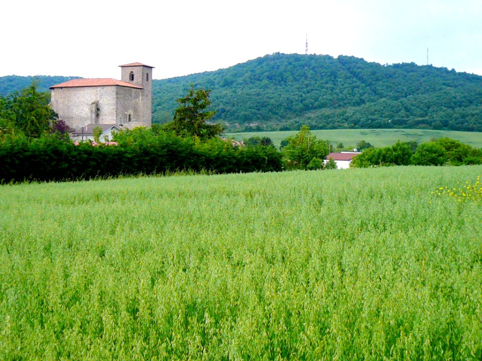 Castillo-Gaztelu 18