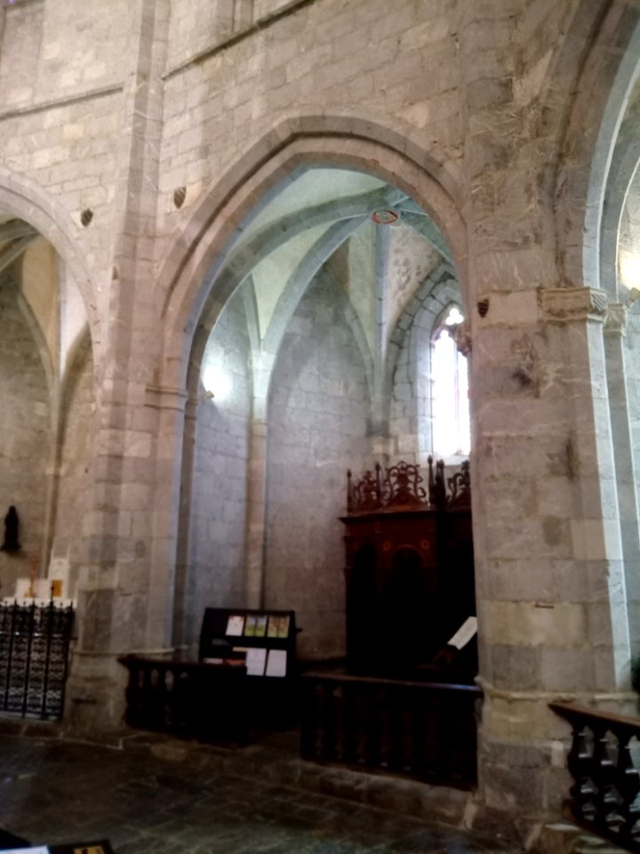 Cathédrale Notre-Dame de Saint-Bertrand-de-Comminges 110