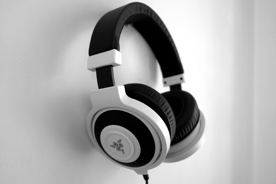 Razer black and white black