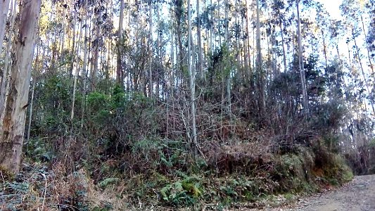 Castro de Lousada Valdoviño