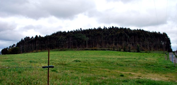 Castro de Montesclaros A Laracha