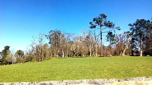 Castro de Sigrás Cambre