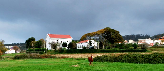 Castro de Poulo Valdoviño