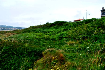 Castro de Morro Canide Oleiros A Coruña Galiza