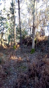 Castro de Rupiallo San Sadurniño A Coruña