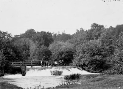 Cattle standing on a weir (1294952)