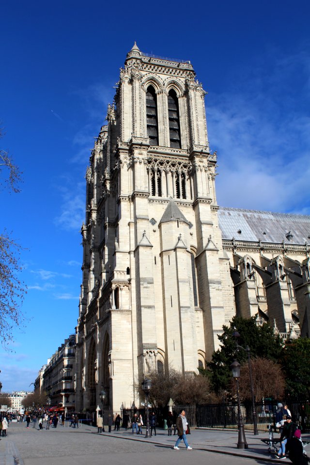 Cathédrale Notre-Dame façade sud Paris 2