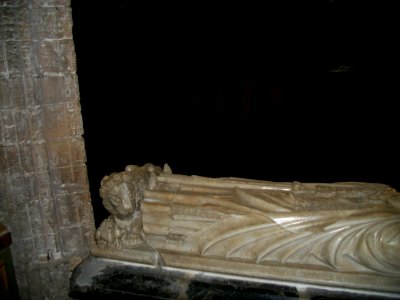 Cathédrale Notre-Dame de Saint-Bertrand-de-Comminges 48