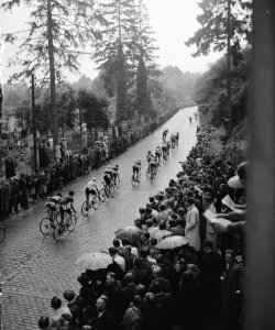 Cauberg-Criterium 1946 (klimmen), Bestanddeelnr 901-8951