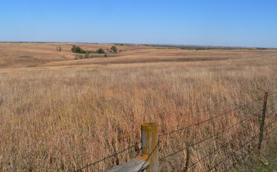 Cather Prairie Oct2013 photo 6 of 6