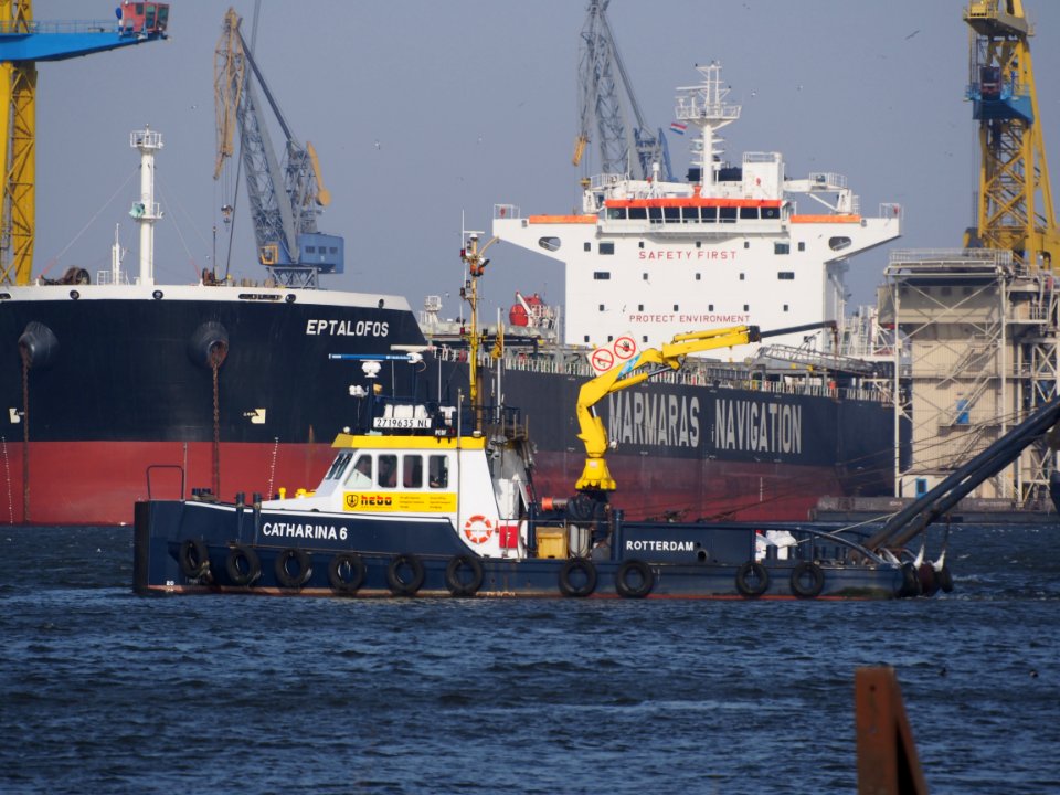 Catharina 6 (Tugboat, 2000), ENI 02719635, Mercuriushaven, Port ofAmsterdam